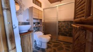 New Paradise Nueva Sede - La Vega Cundinamarca -Avistamiento de aves