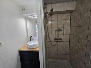 T1 bis Proche Cern Parking Privé