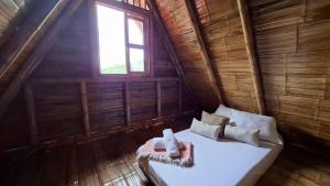 New Paradise Nueva Sede - La Vega Cundinamarca -Avistamiento de aves