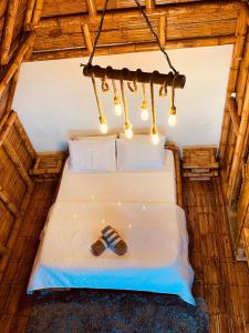 New Paradise Nueva Sede - La Vega Cundinamarca -Avistamiento de aves