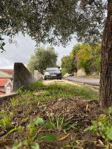 Seaview apartment - Zelenika