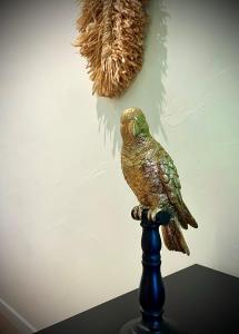 Jungle Suite - Draguignan