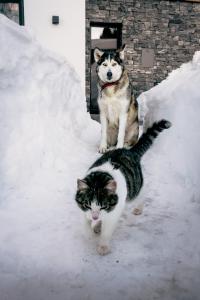 Herzensplatz am Hochkönig