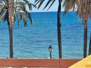 Marinador Josmar - Oropesa