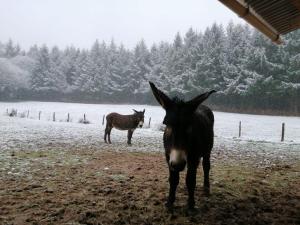 Charmant gîte à 3km du Lac de Pannecière