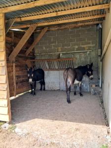 Charmant gîte à 3km du Lac de Pannecière