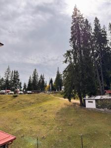 Gardenia Apartment Pamporovo