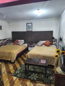 Departamento central para 1 a 8 personas