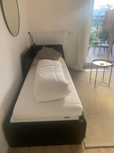 Studio Bagneux - Jardin