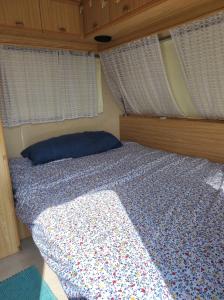 Camping Tara