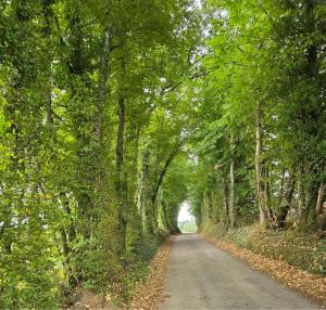 La Planque de Litz - Charme et calme en pleine nature