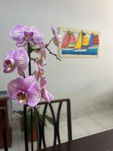 Casa de praia Caraguatatuba Massaguaçú