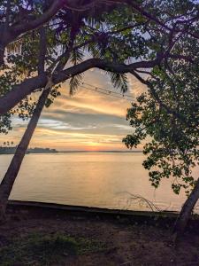 Lakefront 1 BR Cabin with Lake access & Hammock