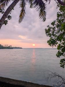 Lakefront 1 BR Cabin with Lake access & Hammock