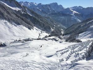 walserchalets - Haus 1