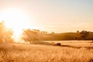 Hermano Farm Stay by Tiny Away