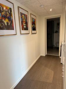 Hygge Green Retreat Billund