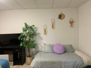 ArtHaus Downtown Jim Robb Unit 3BR 3BA