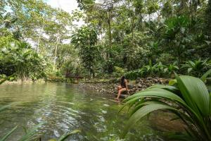 Vibra Wellness Hotel y Spa