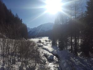 Fuldera Daint chasa Zanoli Wohnung Parterre