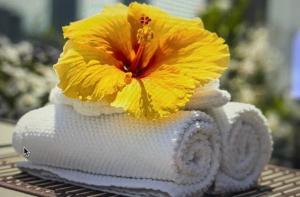 charmant appartement