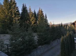 Zori de Zi & Apus de Soare