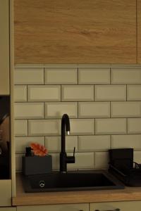 Planinska kuća Pablo house