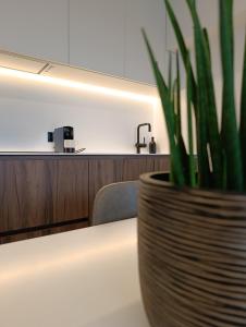 Résidence Thalassa 501