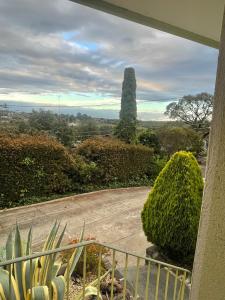 Peaceful Getaway Surrounded by Greenery & Comfort