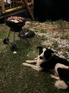 Conexión naturaleza