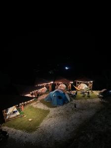 Conexión naturaleza