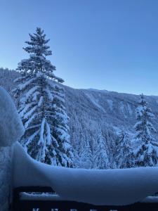 Location en Val dArly avec vue