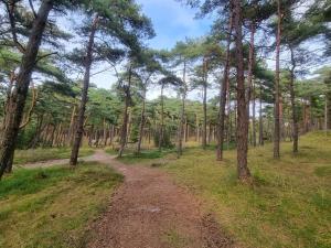 Southern Charm in Rim - By Traum Ferienwohnungen