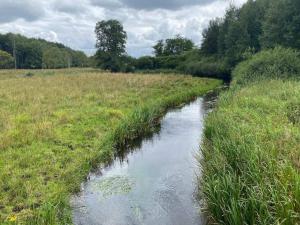 4 person holiday home in Grindsted-By Traum