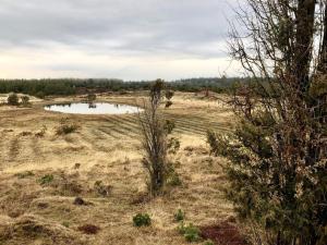 4 person holiday home in Grindsted-By Traum