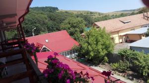 Standard Twin Room with Mountain View room in Pensiunea Balan