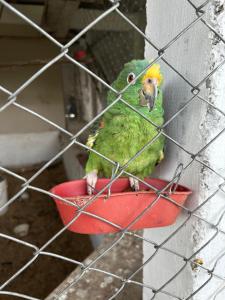 Finca La Maria - Filandia