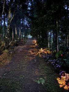 Mountain Retreat Refugio de Aves