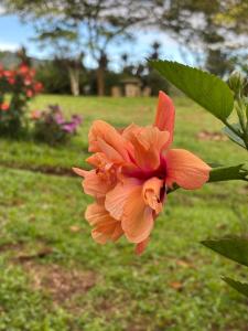 Mountain Retreat Refugio de Aves