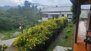 La Casita de Charo 1, disfruta de tiempo memorable en la montaña