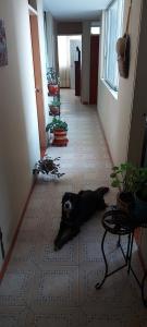 AAMPLIO y ACOGEDOR APARTAMENTO EN PLENO CENTRO DE IBAGUÉ