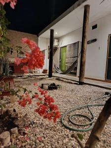 Jandys house Lobitos