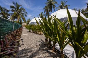Mar de Barra Glamping