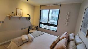 Moderno depto frente a Mall Plaza Egaña