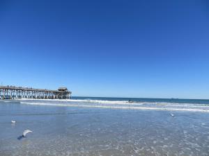 Sandcastles 316