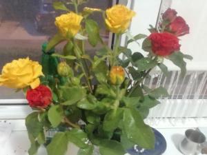 Apartament Alexandru, B-dul Oituz, bloc 4, apartament 26, județ Bacău