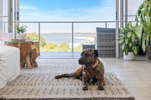 Ziggys Beach House - Ocean views, Jacuzzi, Sauna!