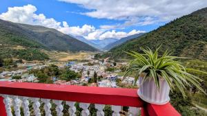 Vista Valley View homestay