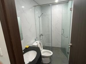 FPT PLAZA 2, Phenthouse, Apartment 3 bedroom, 2 toilét, chỉ cho thuê dài hạn
