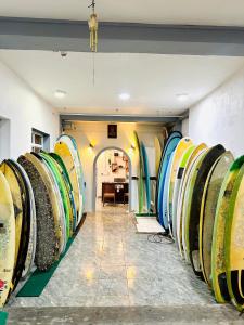 Cocoplant Surf Inn